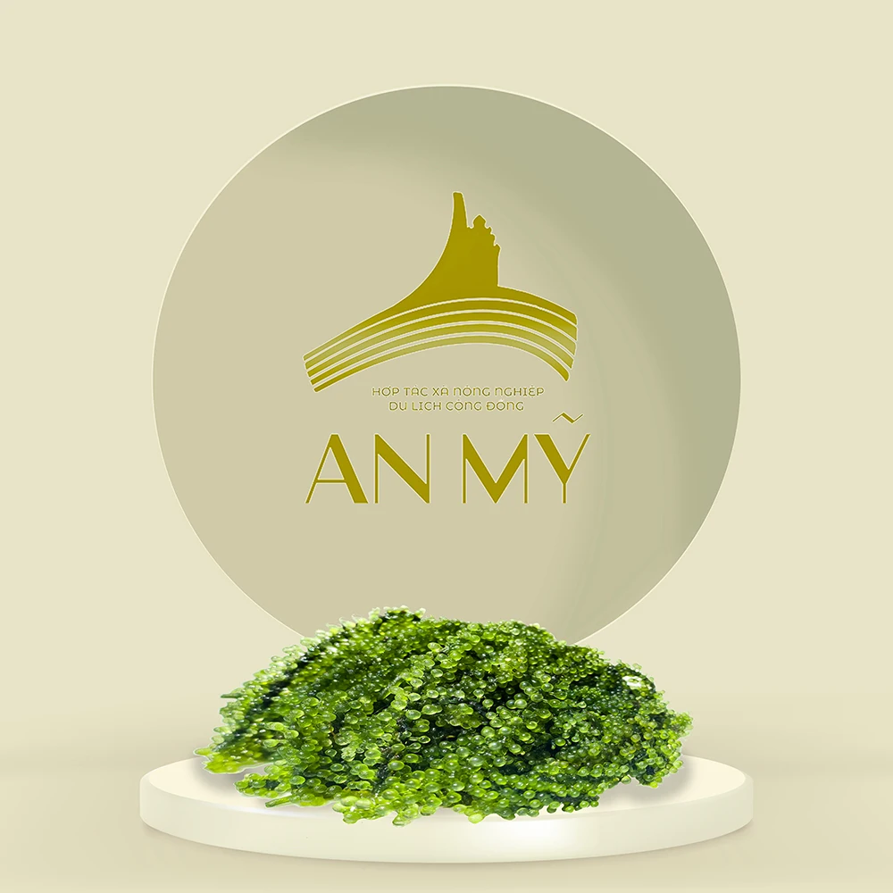 100% Natural Seaweed High Standard Organic Dried Seasoned Sea Grapes Healthy Food from Vietnam