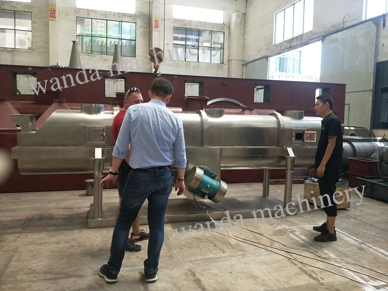 Промышленная пищевая сушильная машина для морской соли, вибрационная флюидизированная сушилка для кровати