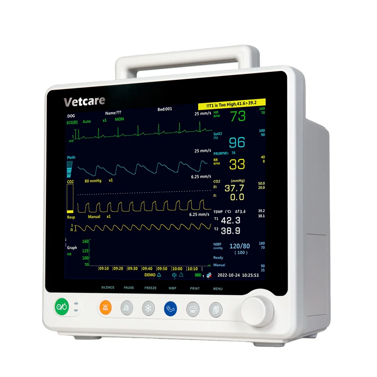 High precision 12-Inch TFT LCD Display Veterinary Monitor with ETCO2 NIBP Muti-Parameter Diagnosis Capability