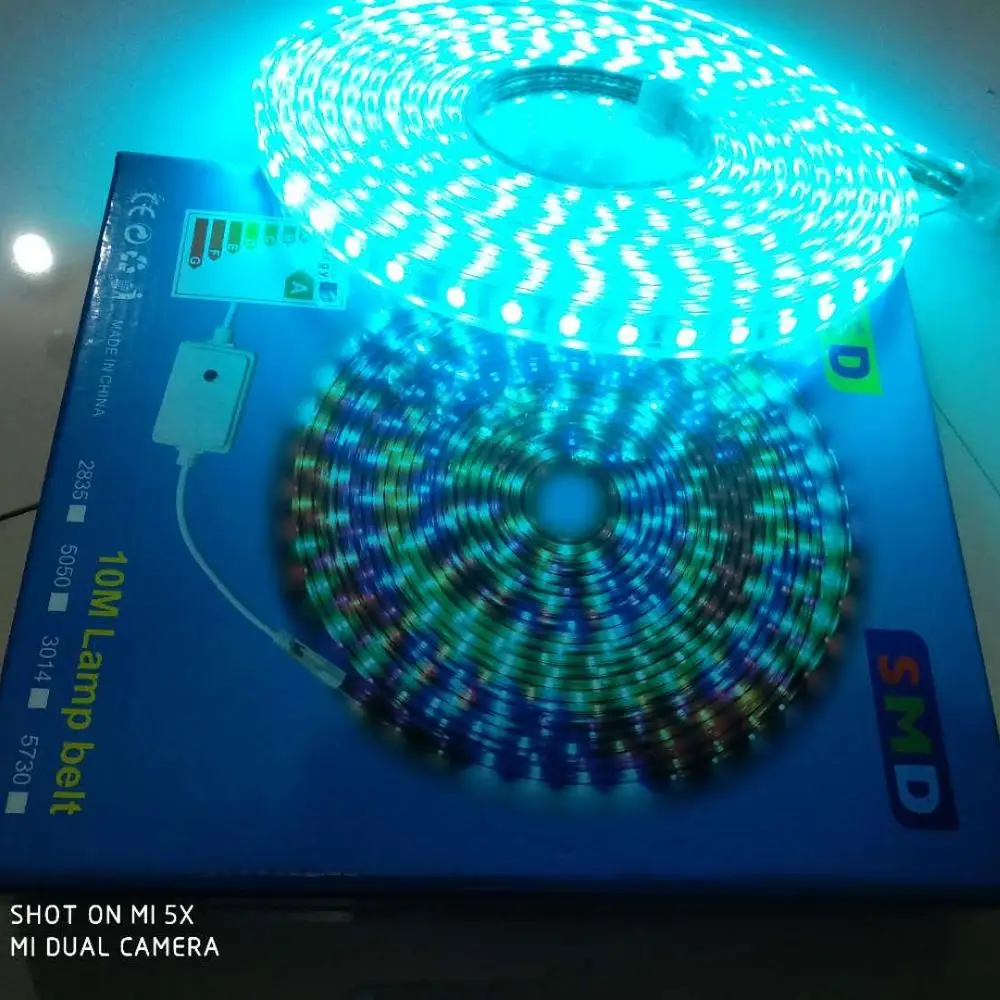 high brightness Waterproof LED Tape AC 220V SMD 5050 RGB Flexible LED Light strip for Living Room Outdoor Lighting