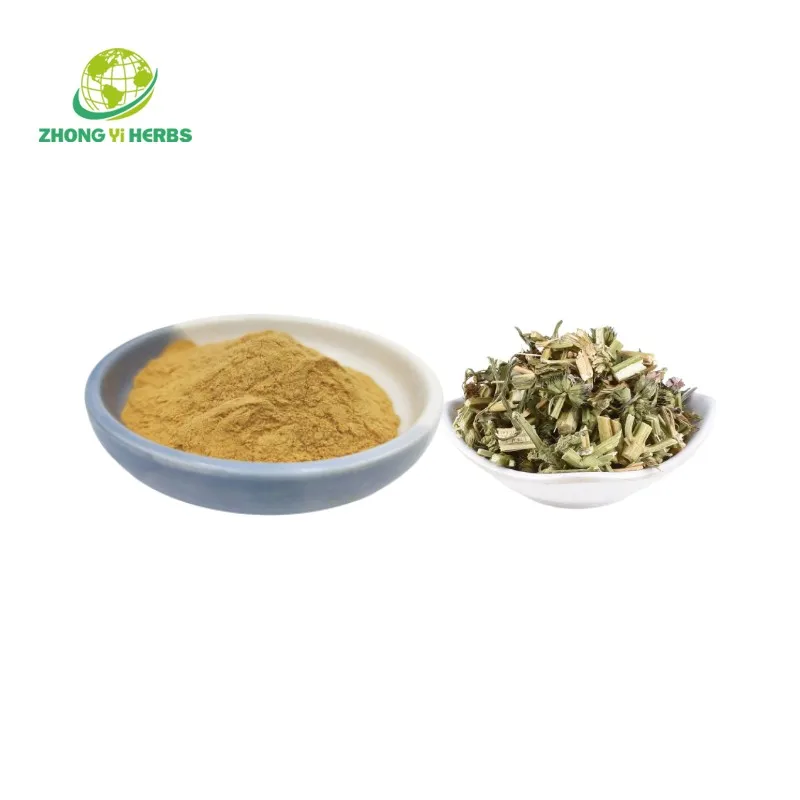 Natural Leonurus Cardiaca Yi Mu Cao Extract Powder Motherwort Extract