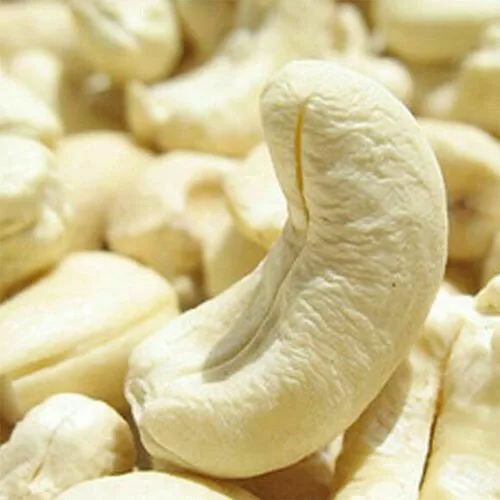 
BUY VIETNAM CASHEW NUT KERNEL WW240 GOOD PRICE WHITE COLOR (WHATSAPP +84918616691) 