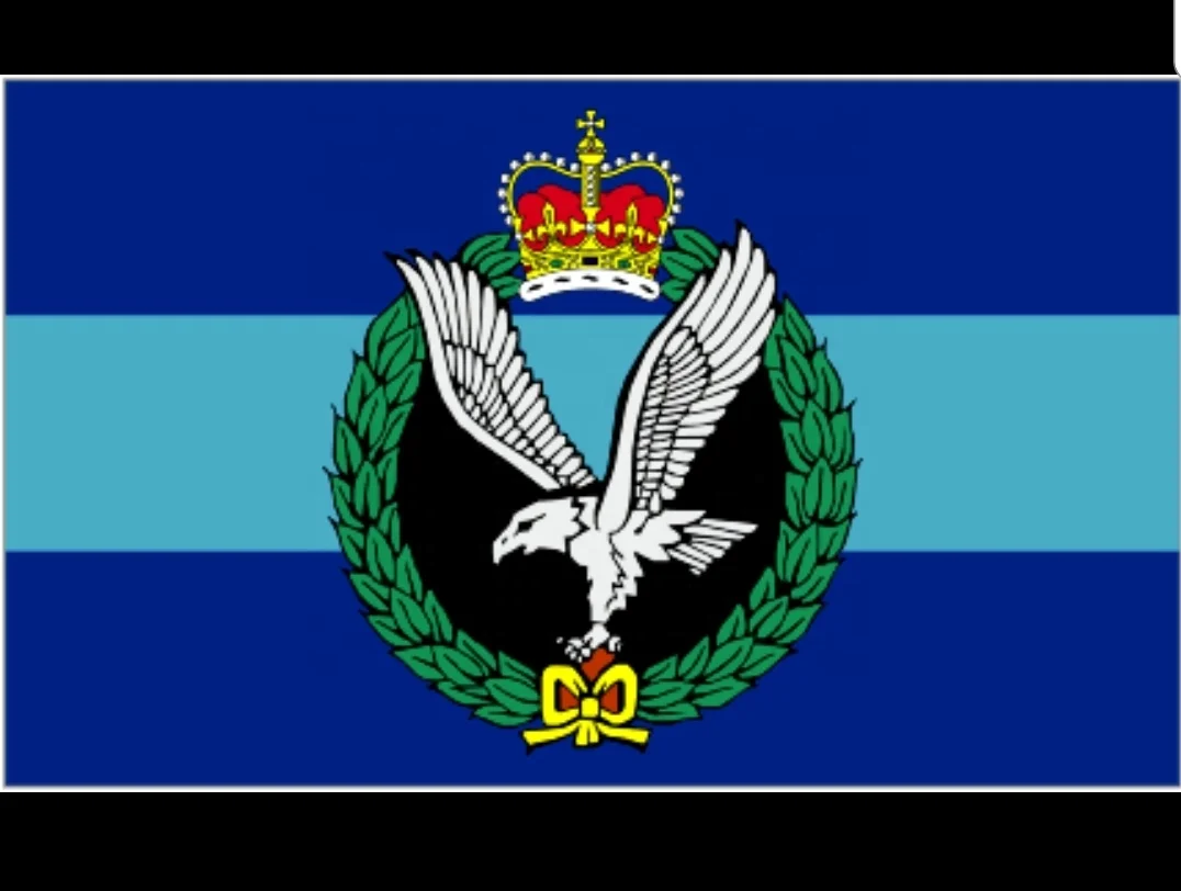  Военные/государственные флаги с индивидуальной настройкой