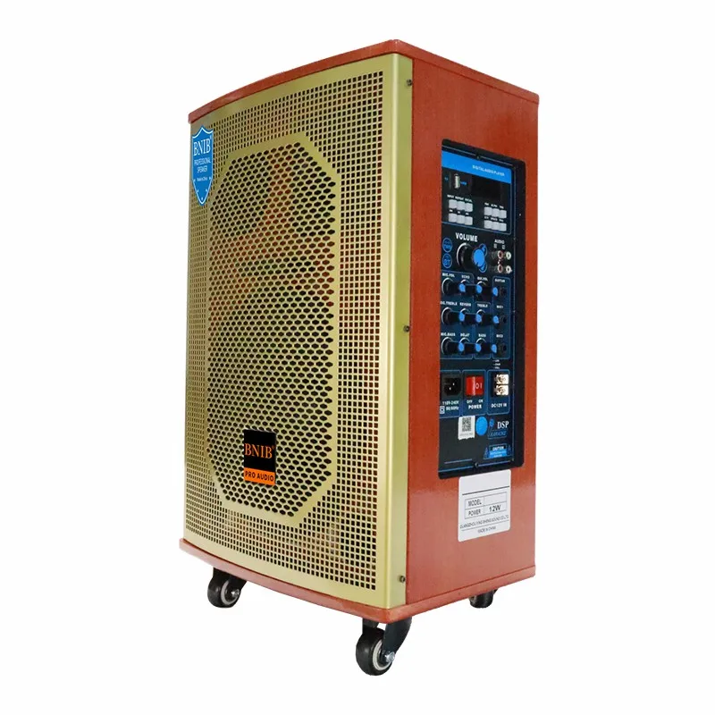 Trending 2022 Speakers Wireless Trolley Speaker Sound Equipment Amplifiers Speaker TF USB MIC ODM