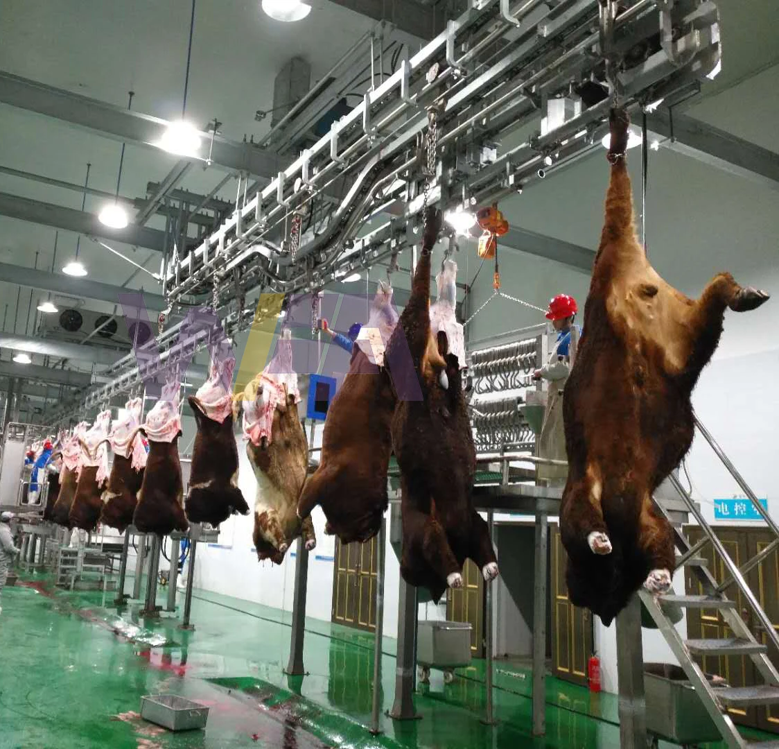 Halal Cow Donkey Slaughtering Machinery With Quality Meat Processing Cattle Butcher Machine