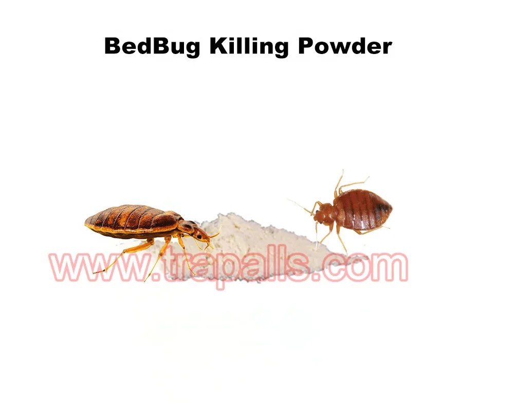 Indoor High Efficiency Pest Control Bed Bug Killer Powder