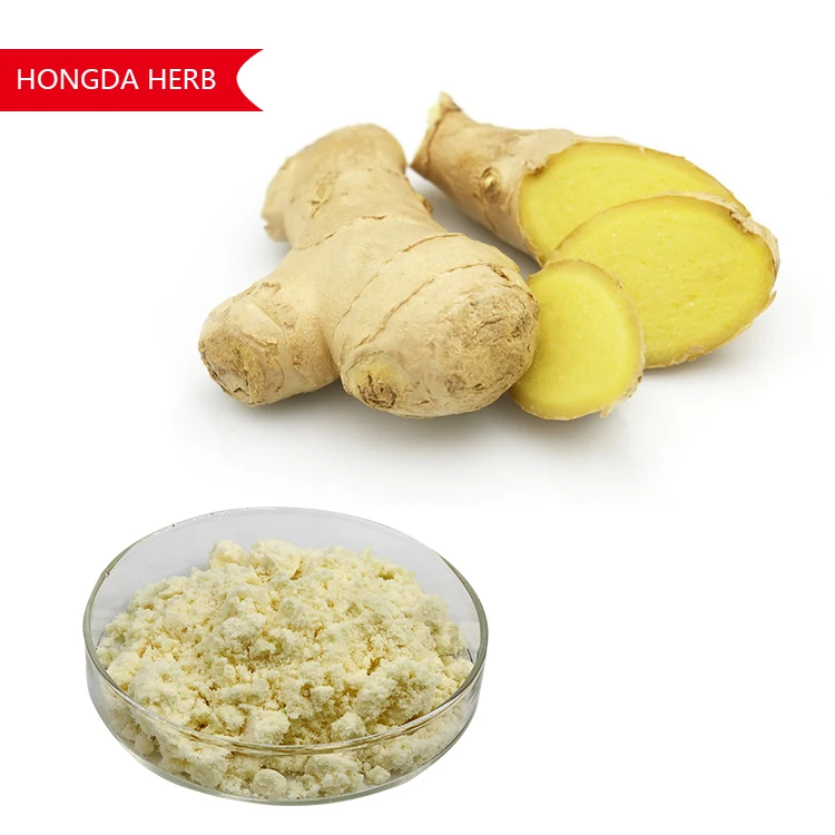 Hongda 1% 5% 10% Watersoluble Gingerol Ginger Extract Powder