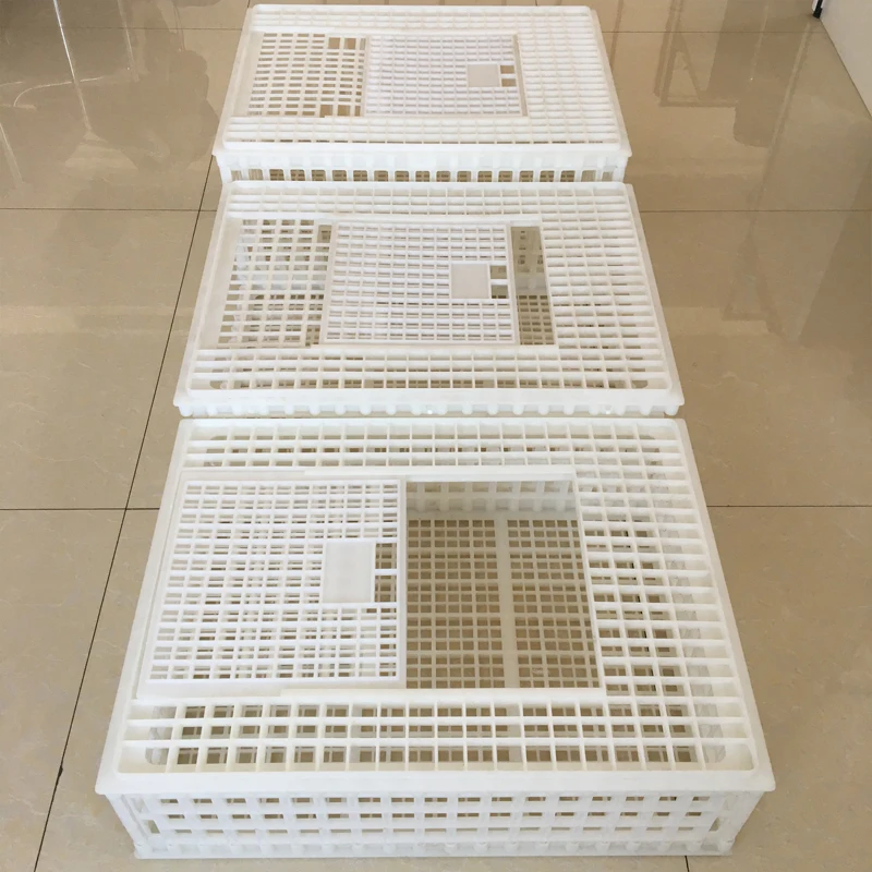 High quality plastic transport bird cages for live chickens/chicken transport cages/poultry transport crate