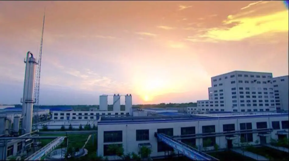 Текстурированный соевый белок