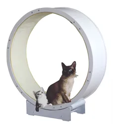 Eco-Friendly Factory Custom Rolling wholesales cat exercise wheel