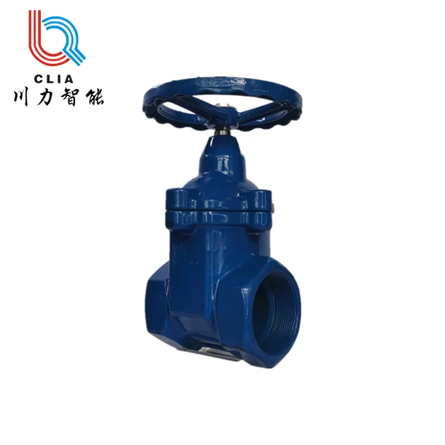 10MPa  grey cast iron Soft Seal valve  valve parts  Casting grey cast iron gate valve