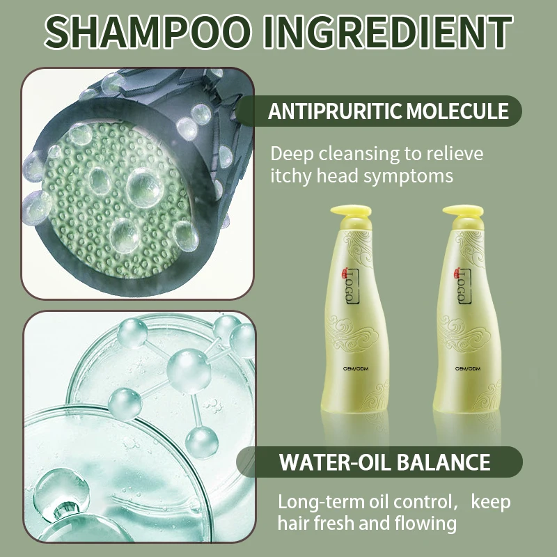 Diwei kinmade Best Quality Wormwood Shampoo Oem Free Sample Cheap Hot Sell Shampoo ODM DHL/Fedex Salon