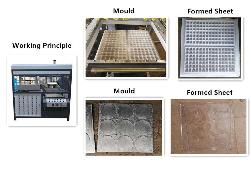 CE approved thermal forming machine for plastic container /plastic thermoforming machine PET