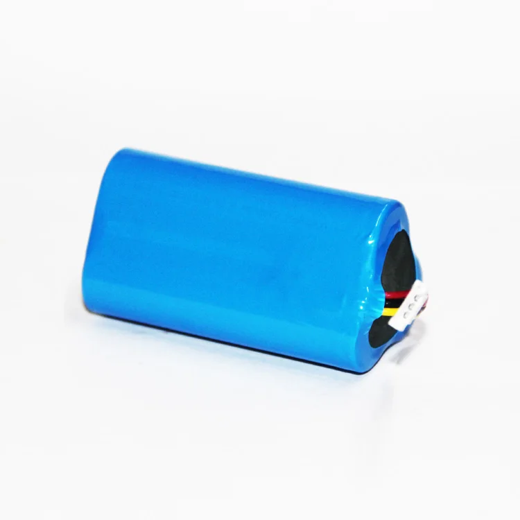 24 Volt Lithium Ion Battery Pack 12 Volt 2000 amp 100 amp hour Lithium Battery