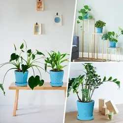 Handmade Sets of Rectangle Shape Wood Flower Pot with Plastic Original Green OEM Customized Europe Style VASE FLOOR Color Plant