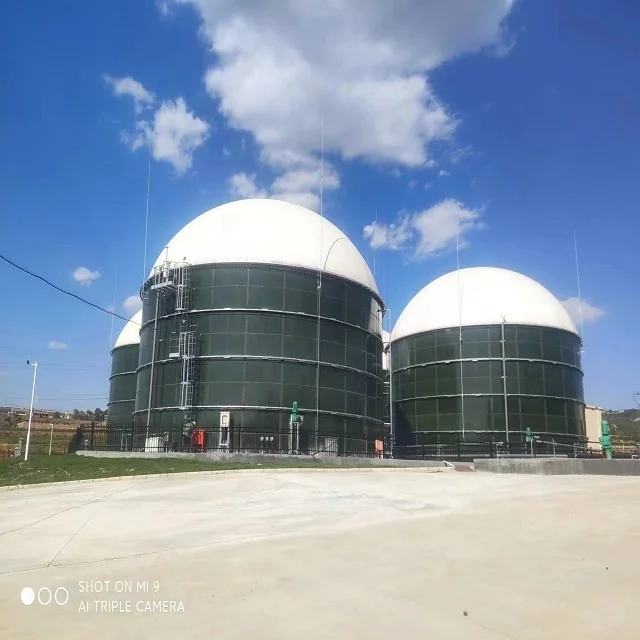 Всемирно популярные биодигесторные резервуары система биогаза био-резервуар для унитаза стекло сплавленное к
