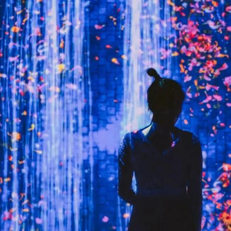 Multi Sensory Digital Art Projection Mapping Interactive Wall Projection Immersive Projection Room