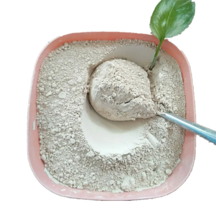 Food Grade Diatomite filter aid