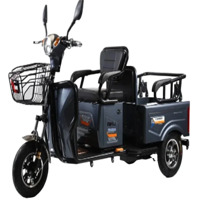 Tailg 2023 Long Range Eec Certification Motorized Passenger Motorcycle Auto Rickshaw Electric Tricycles For Disabled