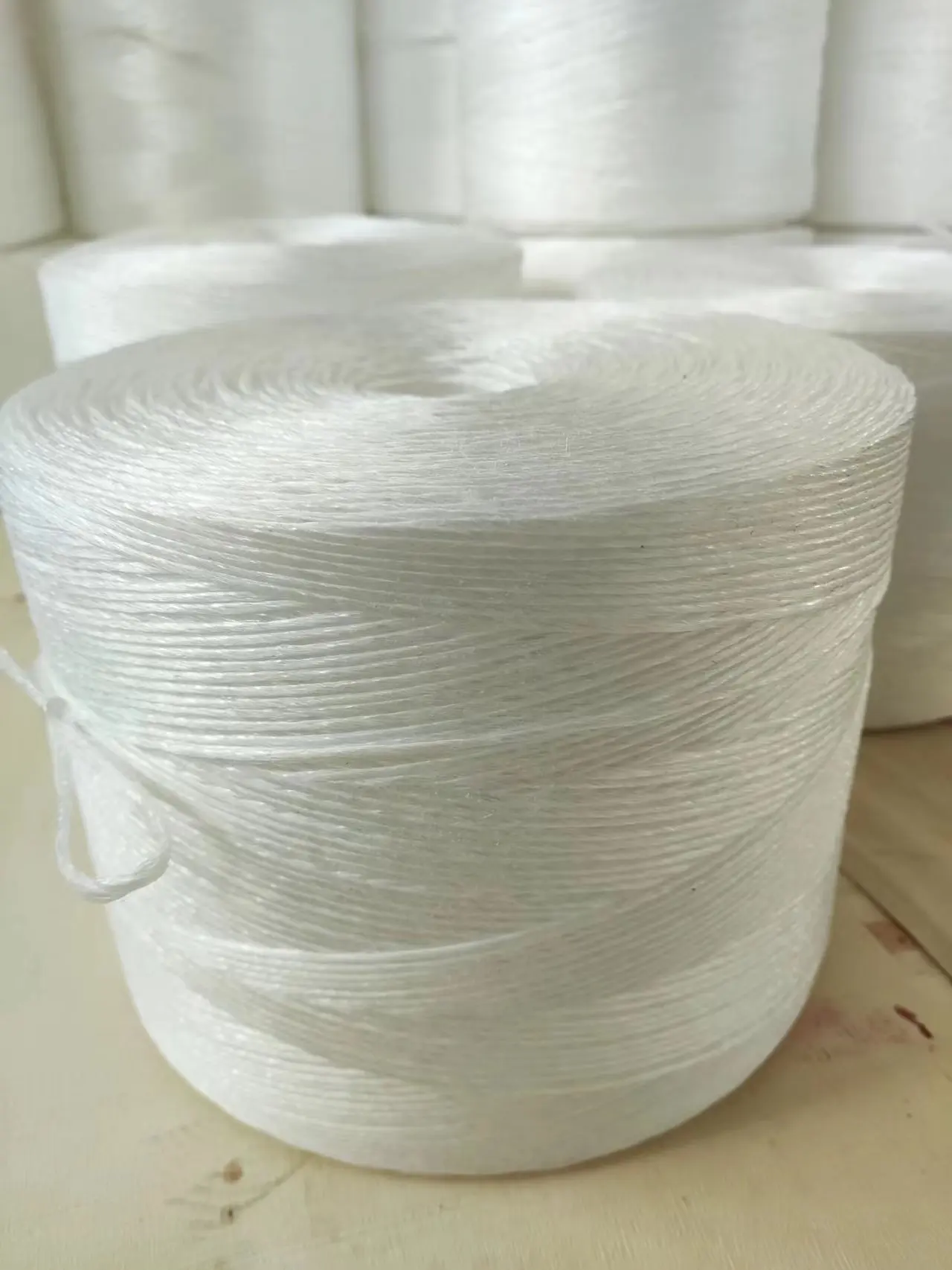 Strong support 1/1000 raffia raw poly baler soft twine white 6 kg (6000m) for tomato cucumber cultivation