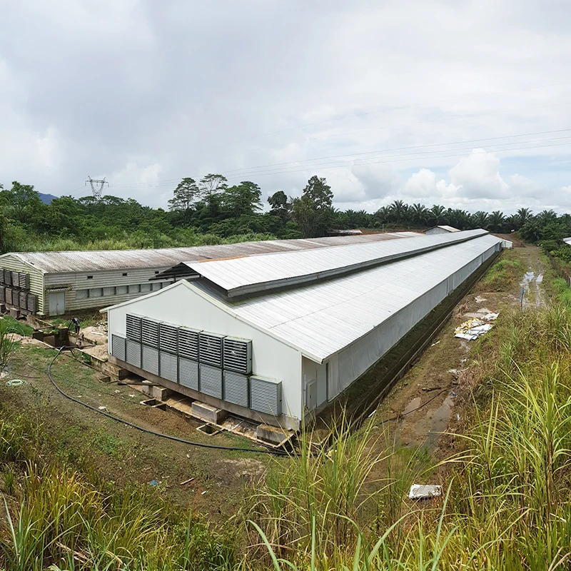 Стальная конструкция, сарай для крупного рогатого скота, стальная конструкция фермы