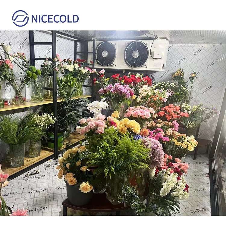 China Display Glass Door Walk in Cooler Flower Cold Room Supplier