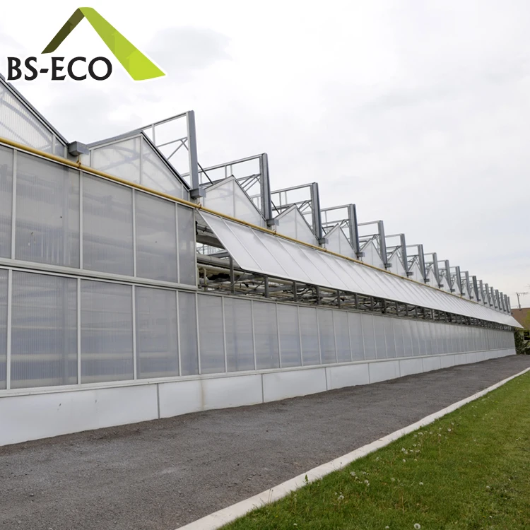 
multi span PC sheet economic polycarbonate agriculture commercial greenhouse 