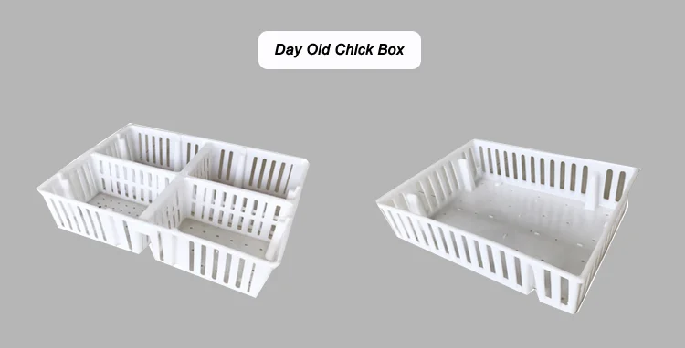 Chick Box.png