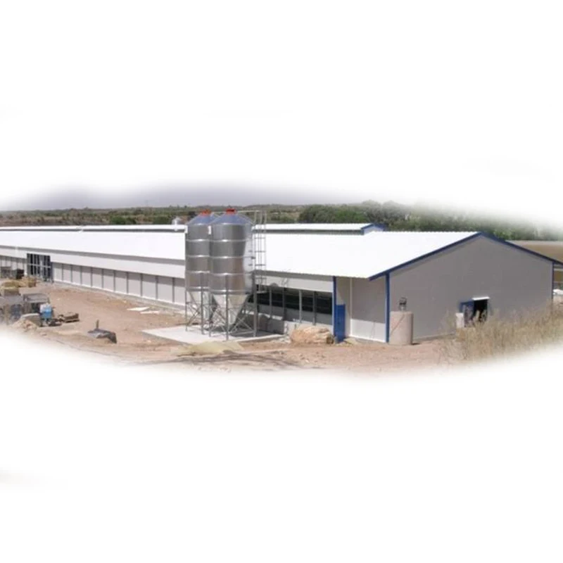 
 Птицеферма, куриная ферма, строительный дом для 10000 цыплят  