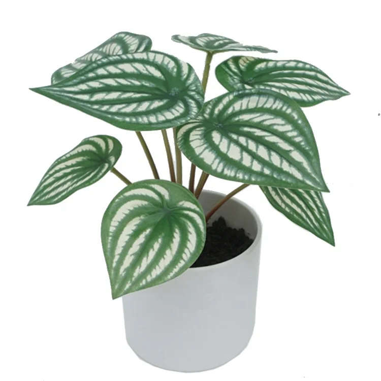 Home Decoration Potted Green Plant  20cm Real Touch Watermelon Leaves artificial bonsai plant With Melamine Pot