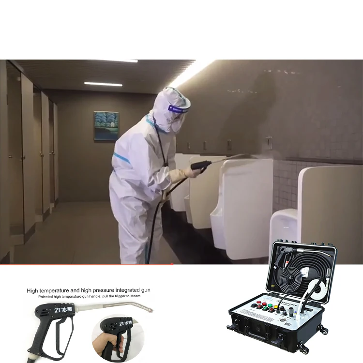 CE Patented Multifunction Ozone Electric Handheld High Pressure Cold/Hot Water 30S Instant Heat Dry/Wet Steam Cleaner Industrial