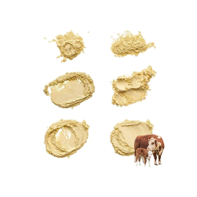 Wholesale Healthcare Supplement  Hydrolyzed Bovine Peptide collagen bovine bone collagen peptide