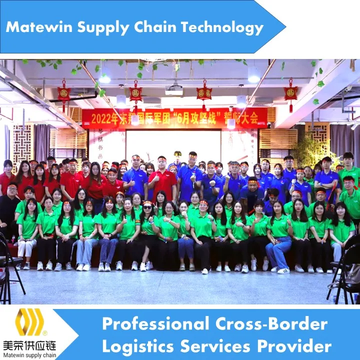 lionzy international logistics services provider china to pakistan freight forwarder china to saudi arabia sourcing agent sea