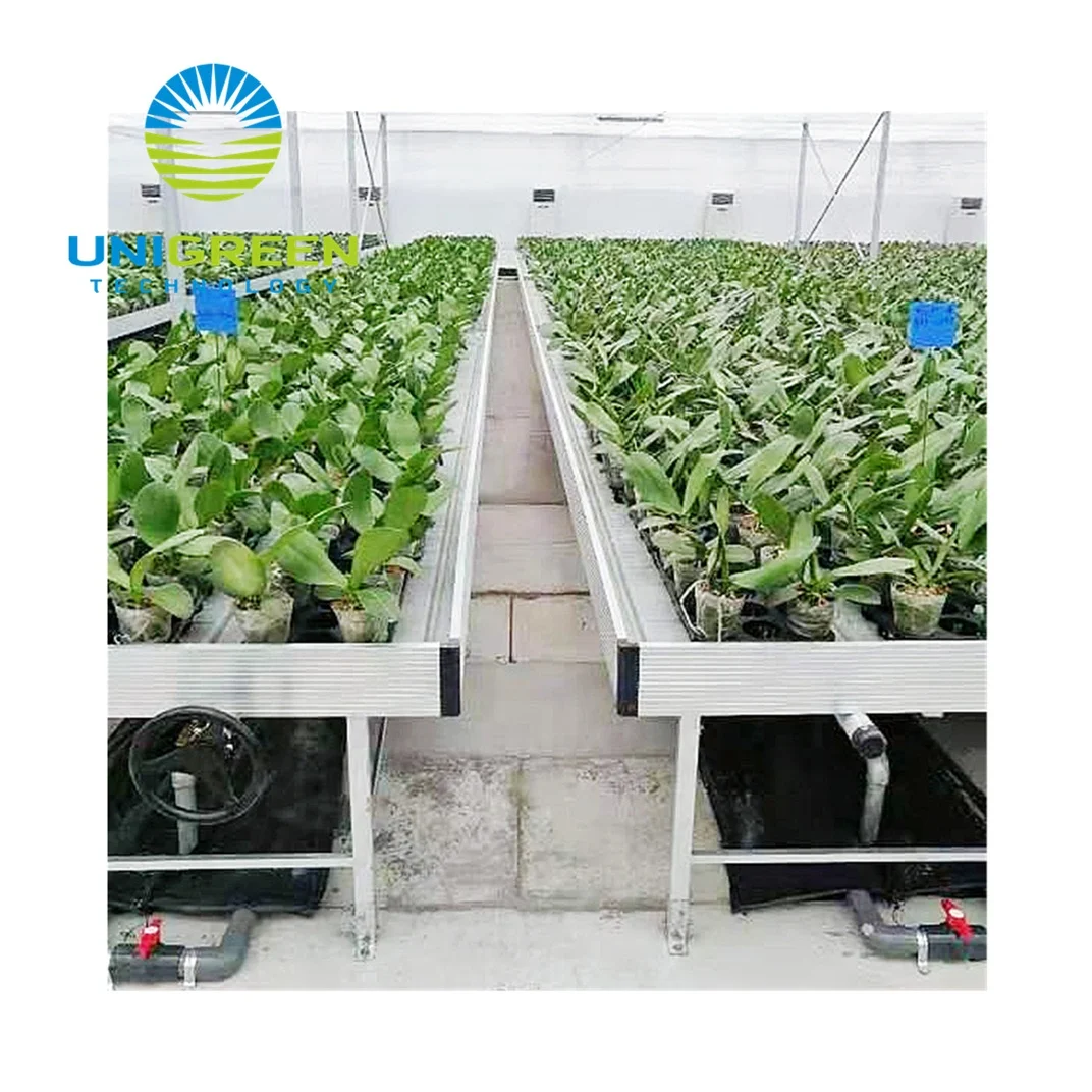 4 x 8 Inch Standard Size Sloping Table Agricultural Mobile Hydroponic Cellar with Drainage for Greenhouse and Warehouse
