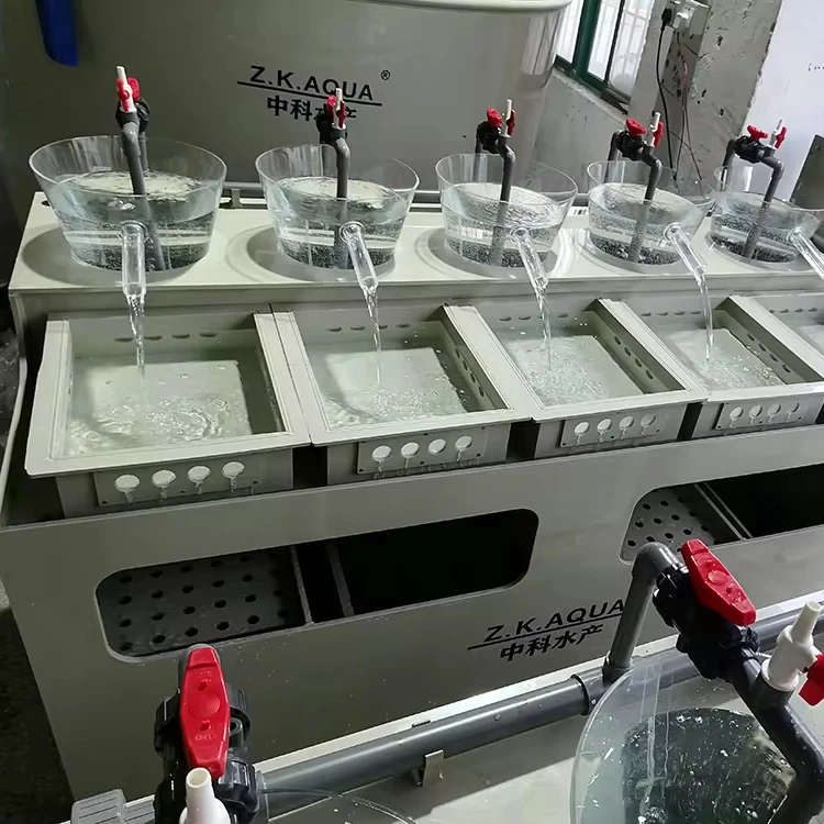 Incubator for tilapia and catfish auqaculture equipment
