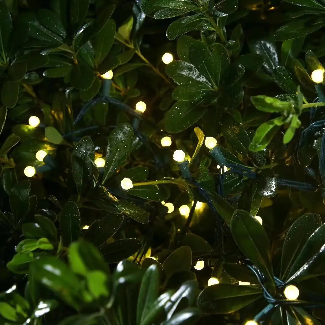 G14  strawberry Christmas LED String Christmas Lights for Home Party Decoration