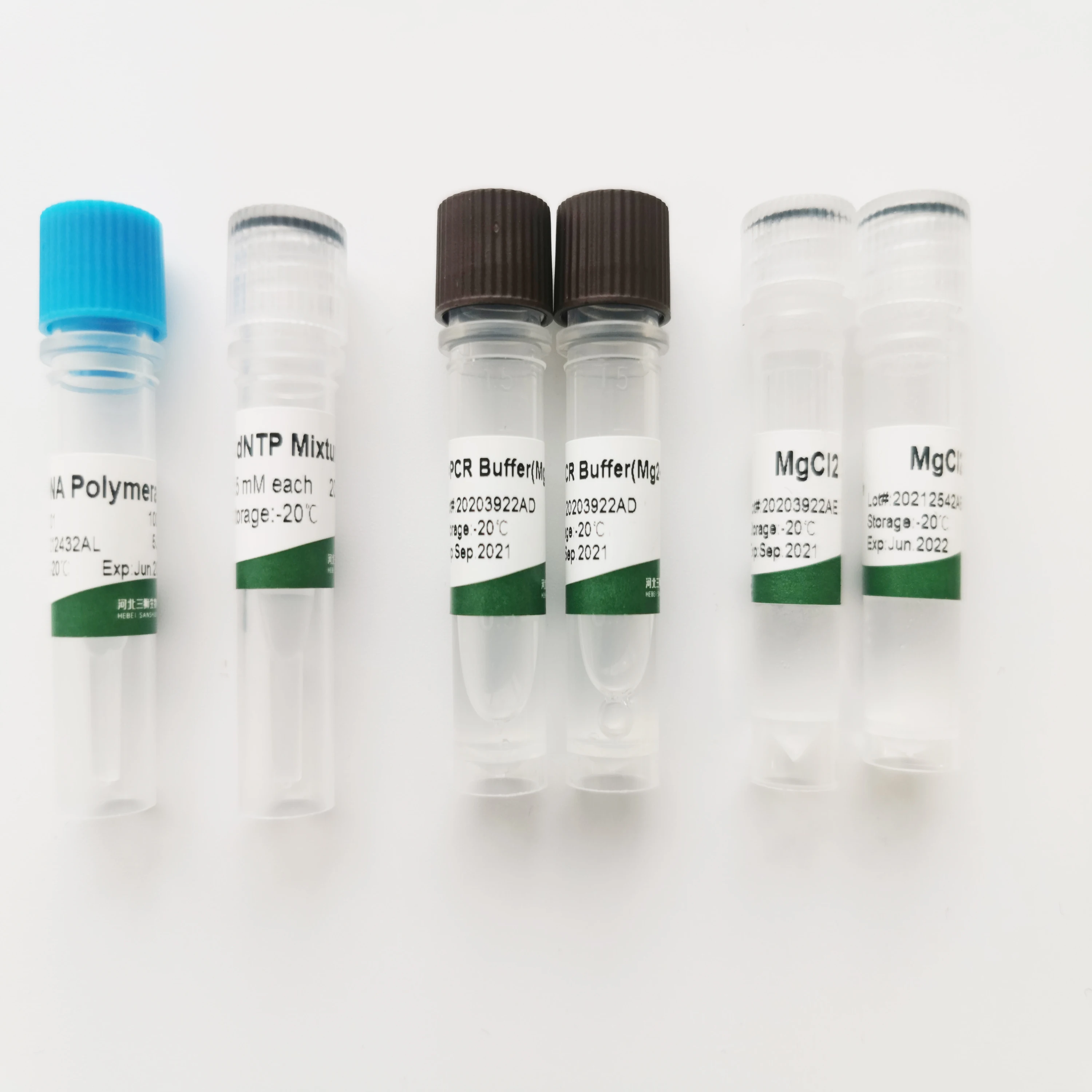 Professional manufacturer reagent test polymerase chain reaction taq dna polymerase