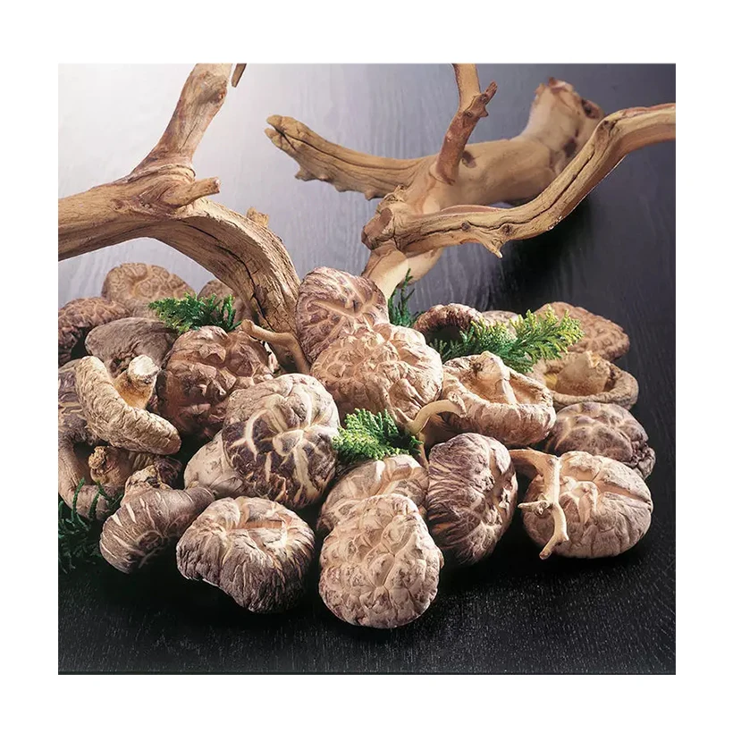 Mushroom delicious goods snack products dried shiitake mushrooms