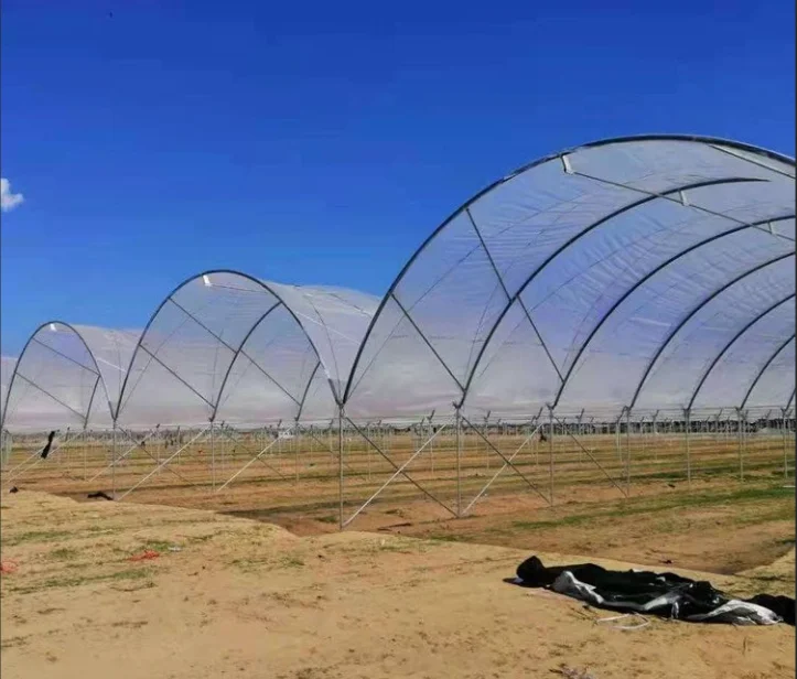 Cherry/Grape/blueberry planting shed  plastic greenhouse planting high tunnel rain shelter greenhouse