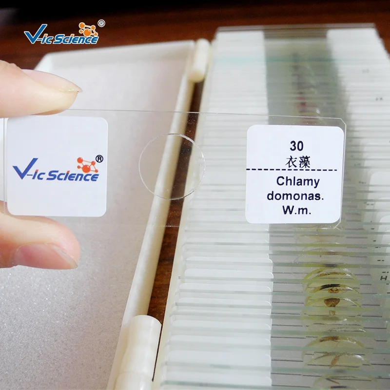 50 Kinds Parasite Slides Set Student Medical Parasitology Prepared Slides