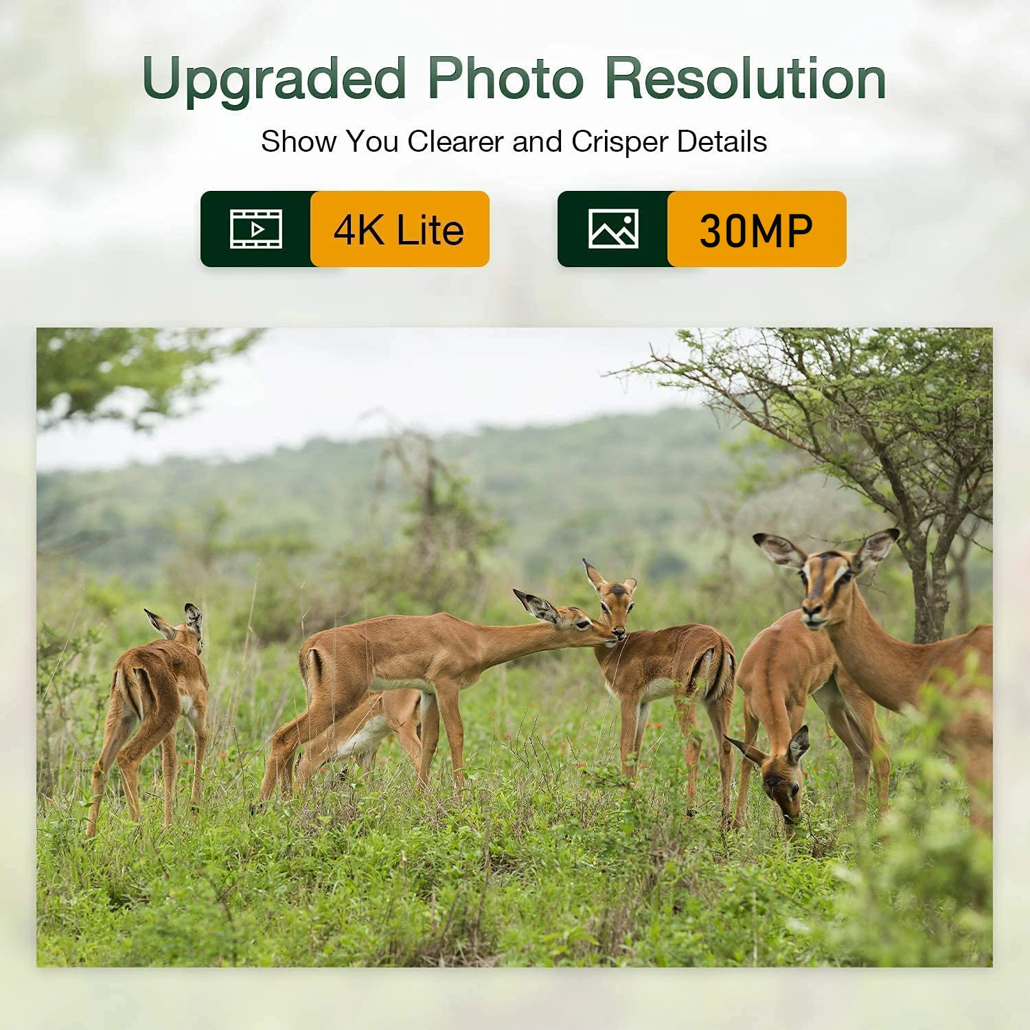 New Suntek Hunting Camera HC-801Pro With APP Control Allows Real-Time Viewing Of Photos And Video 3PIR/ 0.3s Trigger Time/IP65