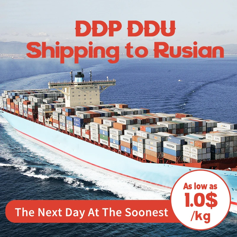 Door to Door Sea Freight Forwarder Shipping Agent to Saudi Arabia Qatar UAE From China