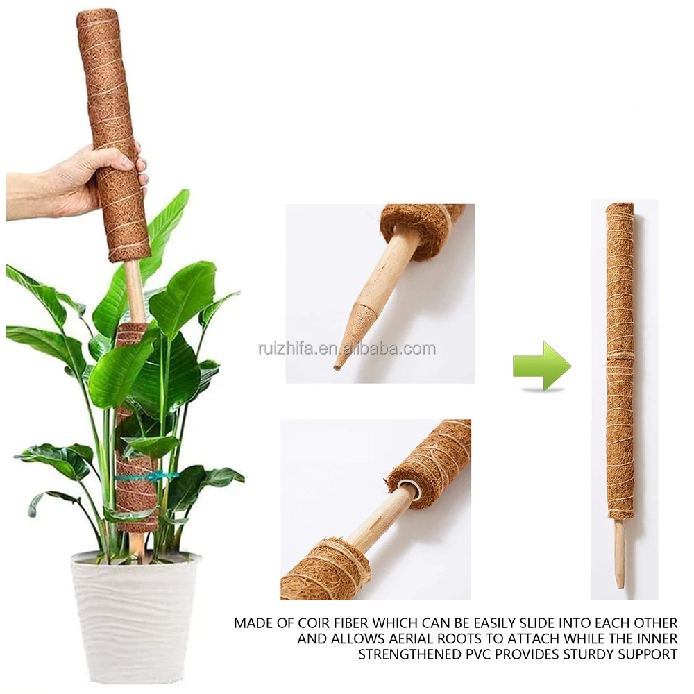 High Quality ECO Friendly Coir Moss Pole Garden Indoors Climbing Plants Moss Pole Potted Plant Support Totem Pole
