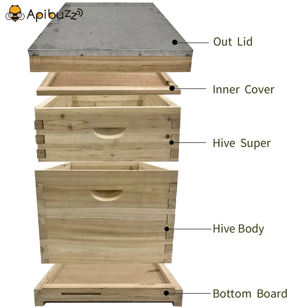 2 Layers 10-Frame Dadant Wooden Bee Hives Apiculture Beekeeping Beehive Equipment Tool Beekeeper Supplies