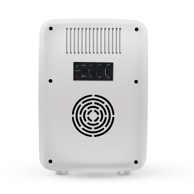  Amazon Hot 10L DC 12V AC 110V 230V мини холодильник на заказ мобильный домашний холодный