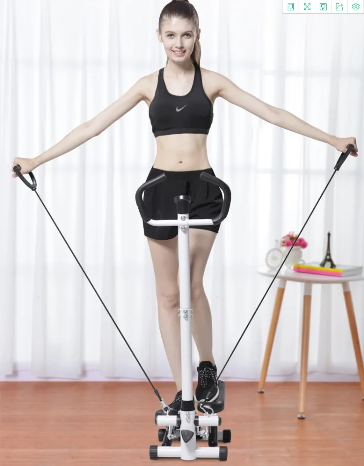 cardio twist  Fitness body building machine with handle air stepper