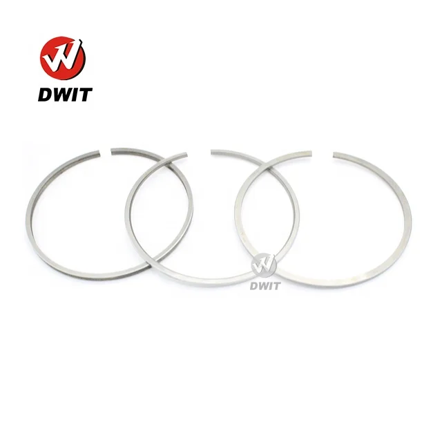 Diesel Engine Spare Parts 3304 3306 OEM 9s3068 Piston Ring For