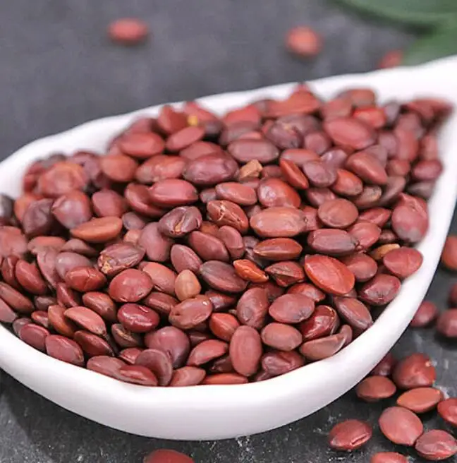 Hotsale natural wild spice dry raw Spina Date Seed