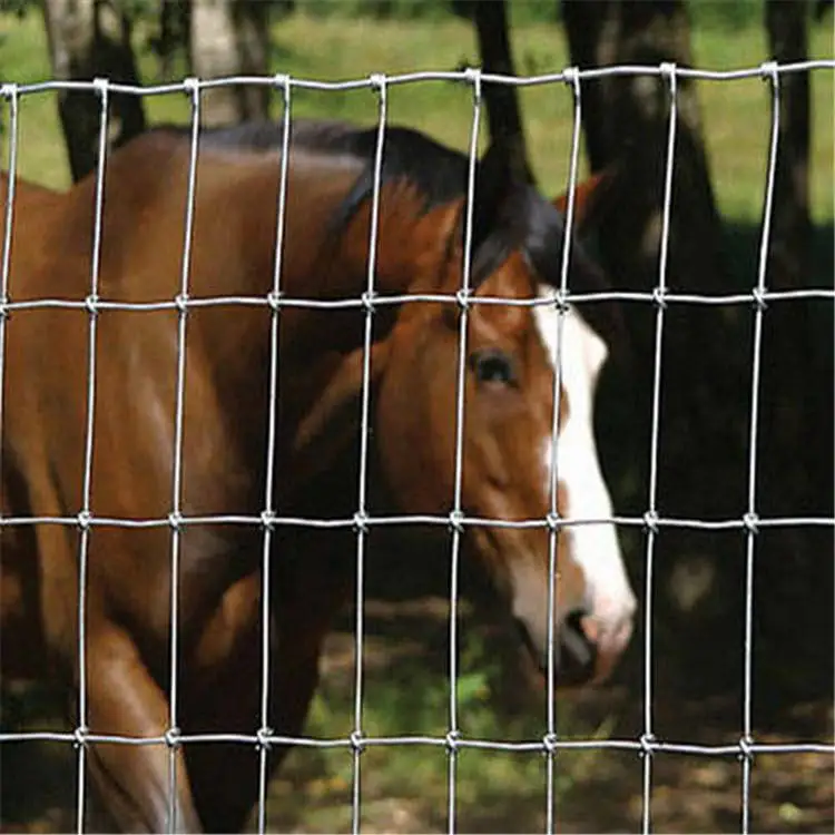 Fixed knot woven wire field fence roll goat hog fencing wire mesh Galvanized Sheep cattle game wire Farm Fence