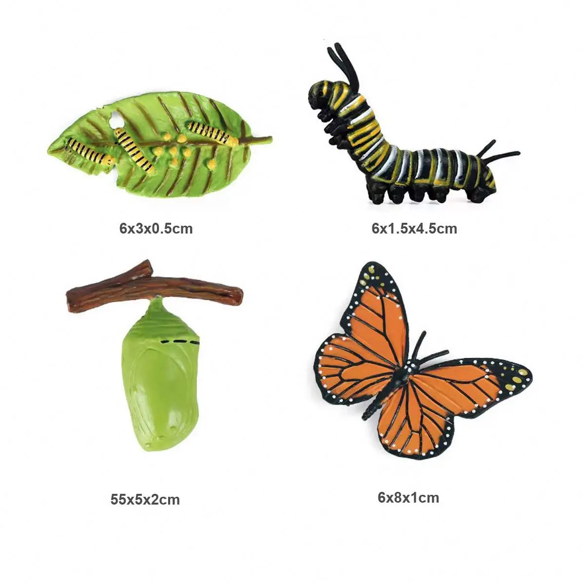 montessori life cycle toy lifelike insect animal figurines education life cycle figurines toy